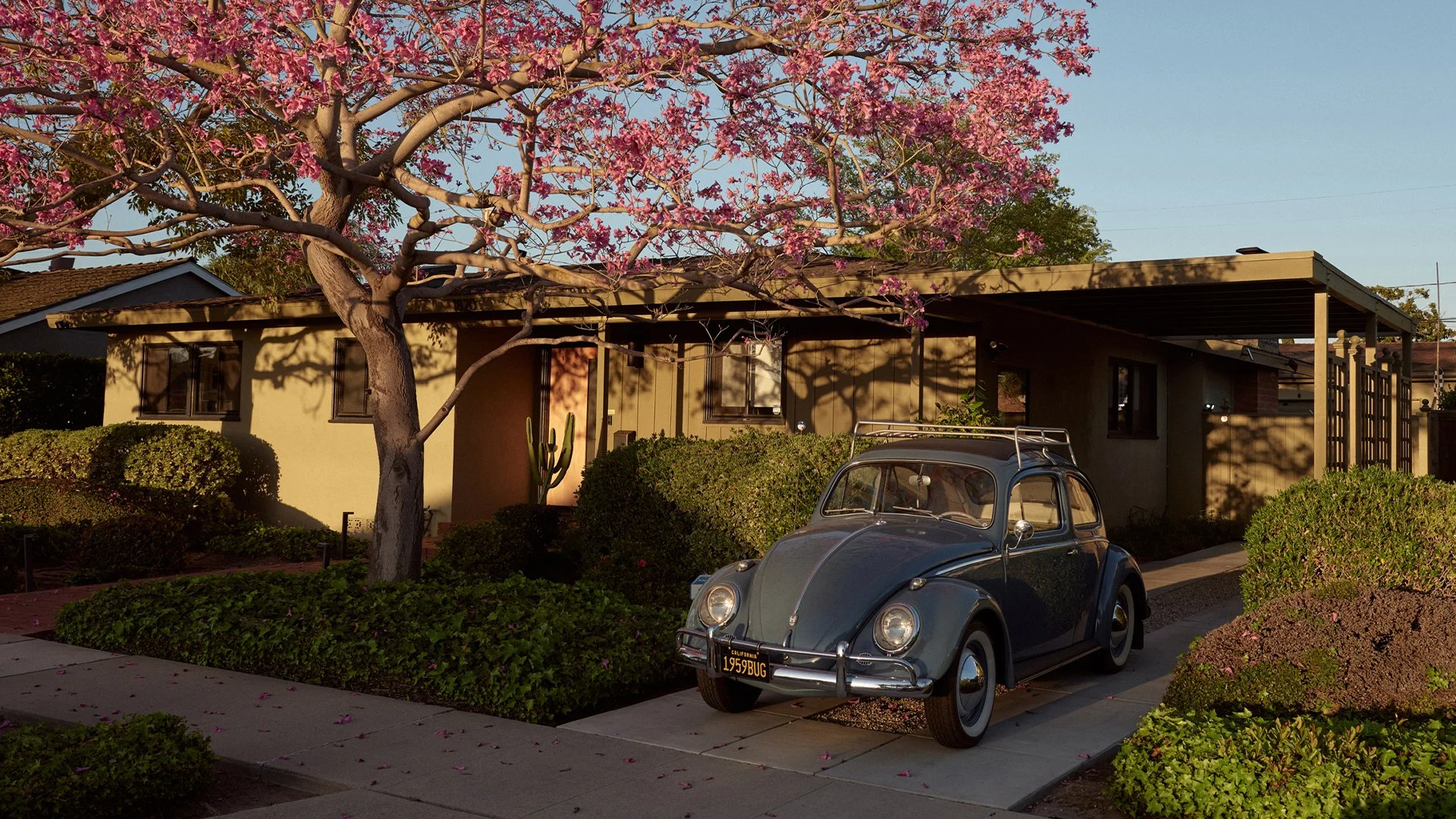 HOUSE on the Landscape C3 HOUSE 9 英語　韓国語 The Youry Residence, Leopold Fischer, 1952 — Open Space Series